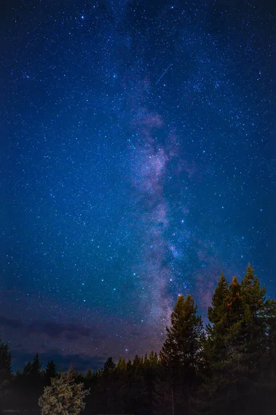 Parque Nacional de Yellowstone RV Campamento Galaxy — Foto de Stock
