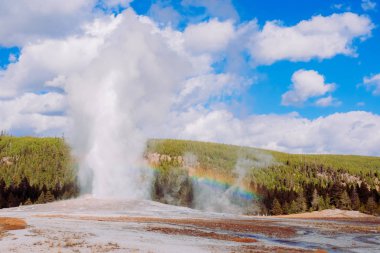 Gökkuşağı eski sadık bahar önünde