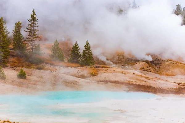 Norris geyser, rainy day — Stock Photo, Image