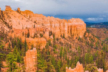 Bryce Kanyon Mist içinde