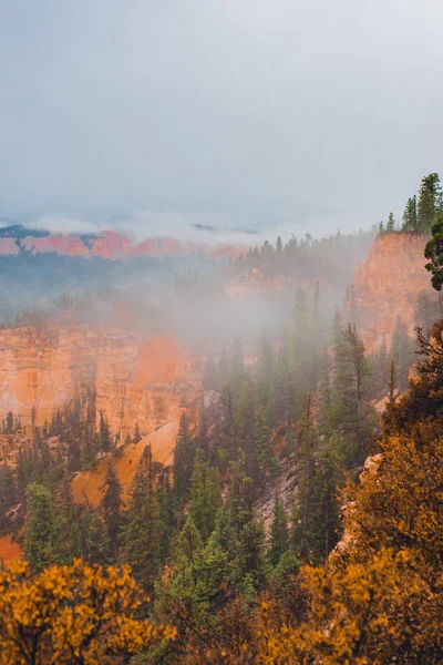 Bryce Canyon nella nebbia — Foto Stock
