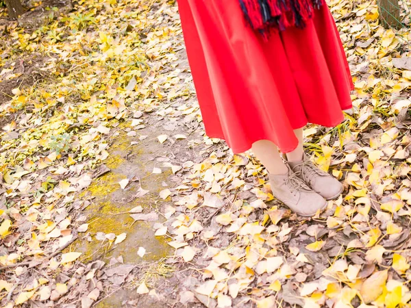 Дівчина з жовтим глінкго білоба листя — стокове фото