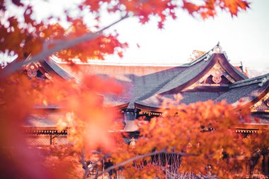 Kyoto Tapınağı Sonbahar Kırmızı Yaprak Manzara, Japonya