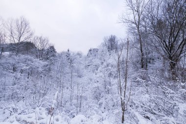 Vadide güzel kar manzarası