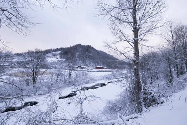 Nádherná SNOWSCAPE v údolí — Stock fotografie