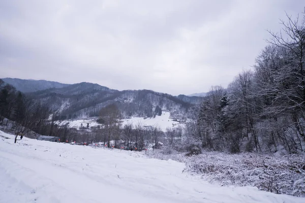 Nádherná SNOWSCAPE v údolí — Stock fotografie