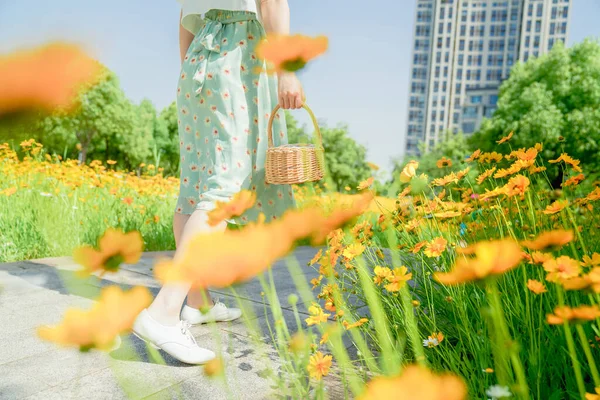Gänseblümchen Und Mädchen Mit Körben Stadtpark — Stockfoto