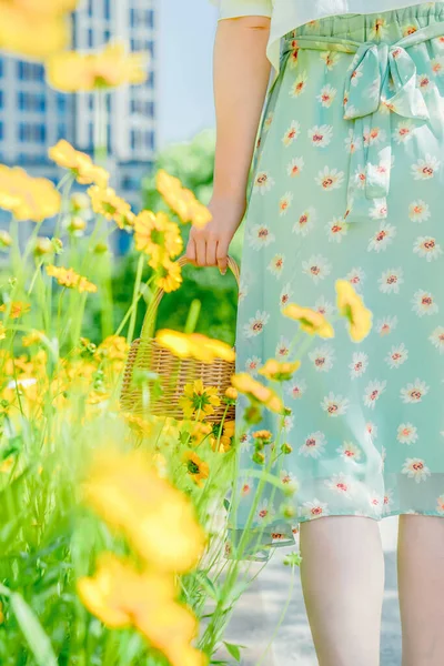 Gänseblümchen Und Mädchen Mit Körben Stadtpark — Stockfoto