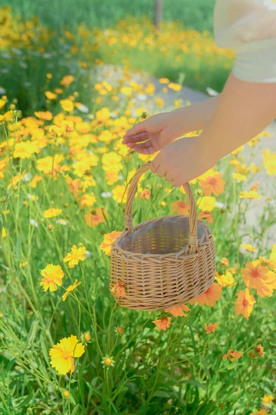 Gänseblümchen Und Mädchen Mit Körben Stadtpark — Stockfoto