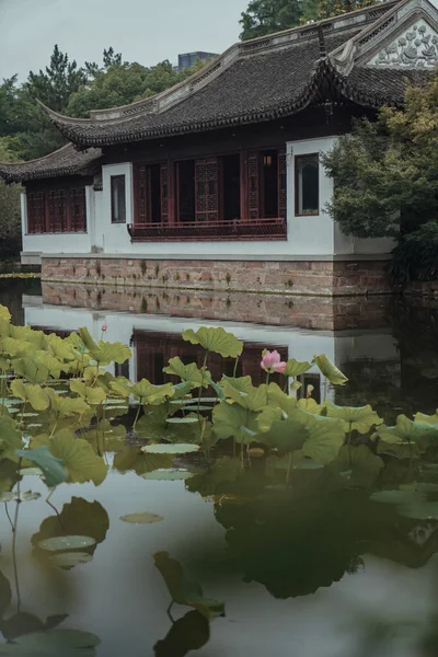 Lótus Lagoa Está Plena Floração — Fotografia de Stock