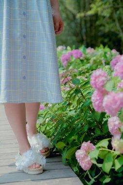 Yağmur mevsiminde ortanca bahçesi