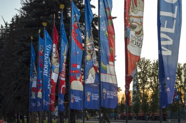 Dünya Kupası Rusya'nın sembolleri bayraklarıyla. Futbol Dünya Kupası. St Petersburg, Rusya, St. Petersburg Arena, 26 Haziran 2018 dünya çapında spor hayranları