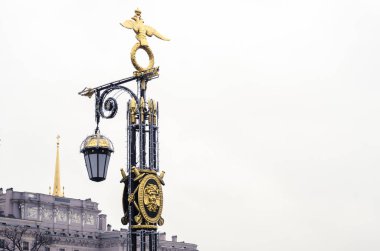 St Petersburg Panteleimon köprü. Sahte köprüsüyle tarihi: altın yaldız.