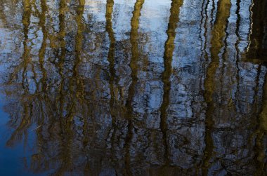 Ağaçlar su yansıtılır. Bahar manzara. Kar eritme bahar geldi.