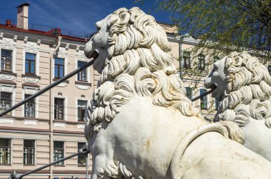 Aslan Bridge St Petersburg. Beyaz demir aslan köprü destek. Tarihi güzel köprü bir turistik 's. St Petersburg, Rusya, 16 Mayıs 2018