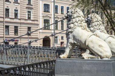 Aslan Bridge St Petersburg. Beyaz demir aslan köprü destek. Tarihi güzel köprü bir turistik 's. St Petersburg, Rusya, 16 Mayıs 2018