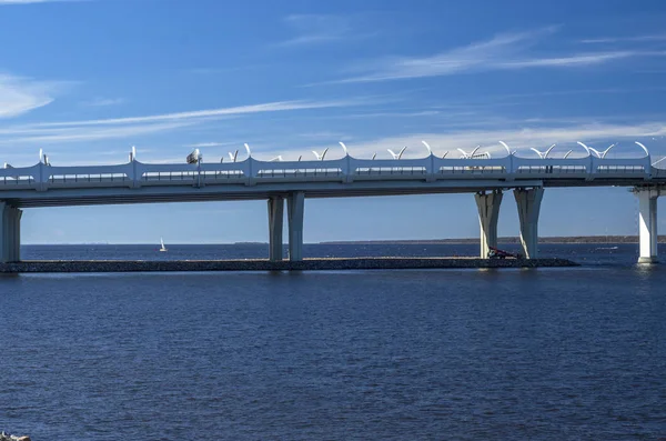 Bir Beyaz Askılı Köprü Neva Nehri Büyük Askılı Köprü Mavi — Stok fotoğraf