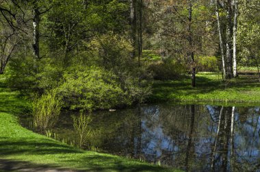 Güzel bir yeşil park yılında bahar sel. Bir göl ve yeşil çayırlar ile Bahçe bahar. Güneşli bir yaprak döken orman.