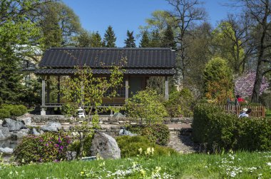Güzel çiçekli pembe sakura ve çalılar ile Japon bahçesi. Japon avlunun ortasında bir yeşil çayır pagoda ve taş yolları ile.