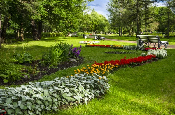 Belo Parque Livre Com Canteiro Flores — Fotografia de Stock