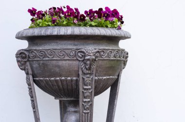 Bakır saksıyı zengin bitki desenleri ve koyun başkanları ile dekore edilmiş Barok tarzı