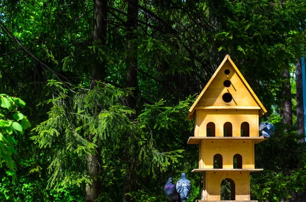 Casa Degli Uccelli Nella Foresta — Foto Stock