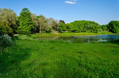 Çimenli yeşil bahçe. Çimli yaz avlusu. Güzel yaz manzara manzara parkı. Kartpostalda arka plan için doğa.