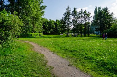 Çimenli yeşil bahçe. Çimli yaz avlusu. Güzel yaz manzara manzara parkı. Kartpostalda arka plan için doğa.