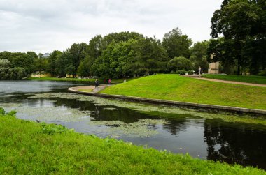 Göllü yeşil bahçe. Çimli yaz avlusu. Güzel yaz manzara manzara parkı. Kartpostal üzerinde arka plan için doğa. Taurian Garden, St. Petersburg, Rusya, 17 Temmuz 2017