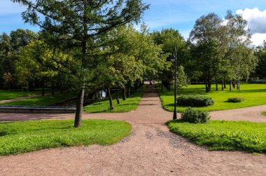 Çimenli yeşil bahçe. Çimli yaz avlusu. Güzel yaz manzara manzara parkı. Kartpostalda arka plan için doğa.