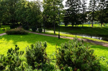 Çimenli yeşil bahçe. Çimli yaz avlusu. Güzel yaz manzara manzara parkı. Kartpostalda arka plan için doğa.