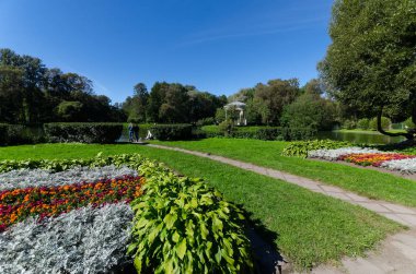 Çimenli yeşil bahçe. Çimli yaz avlusu. Güzel yaz manzara manzara parkı. Kartpostal üzerinde arka plan için doğa. Taurian Garden, St. Petersburg, Rusya, 17 Temmuz 2017