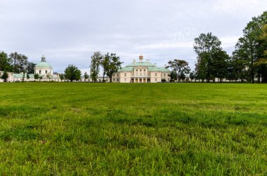 Çimenli yeşil bahçe. Çimli yaz avlusu. Güzel yaz manzara manzara parkı. Kartpostalda arka plan için doğa.