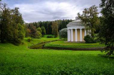 Çimenli yeşil bahçe. Çimli yaz avlusu. Güzel yaz manzara manzara parkı. Kartpostalda arka plan için doğa.