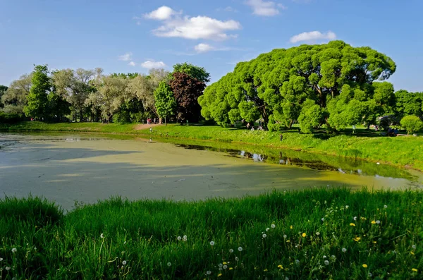 Jardín Verde Con Lago Patio Verano Con Césped Hermoso Parque — Foto de Stock