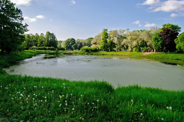 Jardín Verde Con Lago Patio Verano Con Césped Hermoso Parque — Foto de Stock