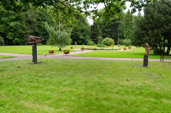 Grüner Garten Mit Gras Sommerhof Mit Liegewiese Schöne Sommerlandschaft Landschaftspark — Stockfoto