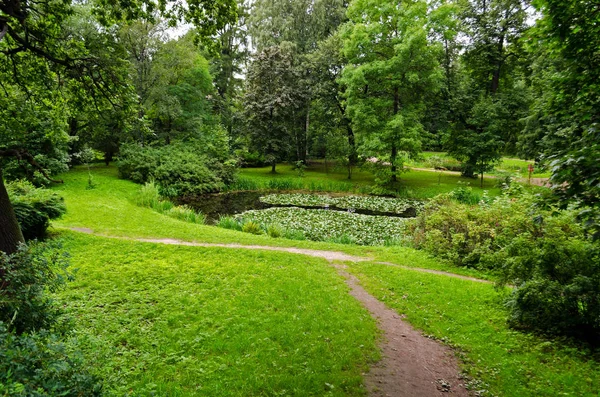 Jardín Verde Con Hierba Patio Verano Con Césped Hermoso Parque — Foto de Stock