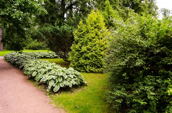 Grüner Garten Mit Gras Sommerhof Mit Liegewiese Schöne Sommerlandschaft Landschaftspark — Stockfoto