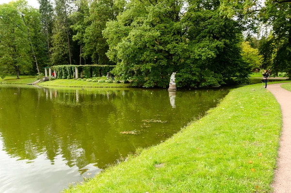 Göllü yeşil bahçe. Çimli yaz avlusu. Güzel yaz manzara manzara parkı. Kartpostal üzerinde arka plan için doğa. Oranienbaum Garden, St. Petersburg, Rusya, 9 Ağustos 2017