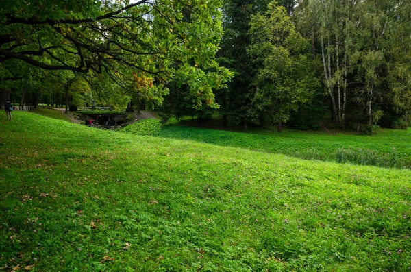 Giardino Verde Con Erba Cortile Estivo Con Prato Bellissimo Parco — Foto Stock
