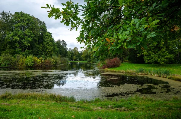 Jardín Verde Con Lago Patio Verano Con Césped Hermoso Parque — Foto de Stock