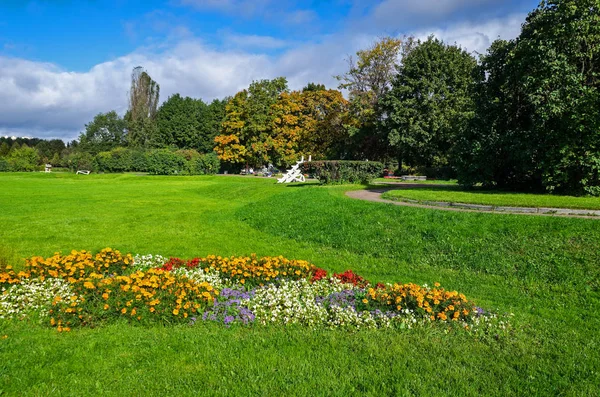 Green garden with grass. Summer courtyard with lawn. Beautiful summer landscape landscape park. Nature for background on postcard.