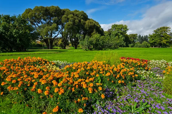 Zelená Zahrada Trávou Letní Nádvoří Trávníkem Krásná Letní Krajinná Park — Stock fotografie