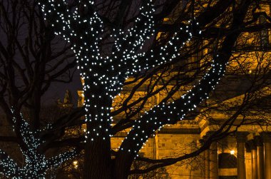 Gece şehri ışığın altında. St. Isaac Katedrali 'nin önünde parlayan ışıkları olan bir Noel ağacı. Kartpostallar için arka plan. St. Petersburg, St. Isaac Meydanı 29 Aralık 2017