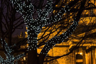 Gece şehri ışığın altında. St. Isaac Katedrali 'nin önünde parlayan ışıkları olan bir Noel ağacı. Kartpostallar için arka plan. St. Petersburg, St. Isaac Meydanı 29 Aralık 2017