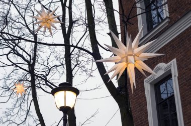 Kartpostal veya arkaplan için ağaçlarda parlayan yıldızlar