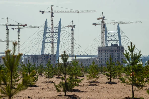 Bouw van een wooncomplex aan zee. De voortgang van de bouw van het wooncomplex Morskaya dijk. Huizen in het zand bij het water. Rusland, Sint-Petersburg, 9 juni 2020 — Stockfoto