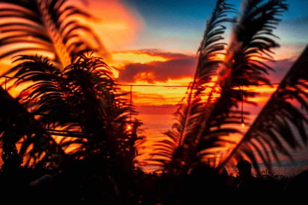 Hojas de palma en el fondo de la increíble puesta de sol escarlata en Bali — Foto de Stock
