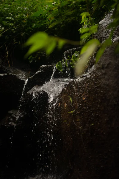 Beau paysage de jungle asiatique avec petit ruisseau à Bali — Photo